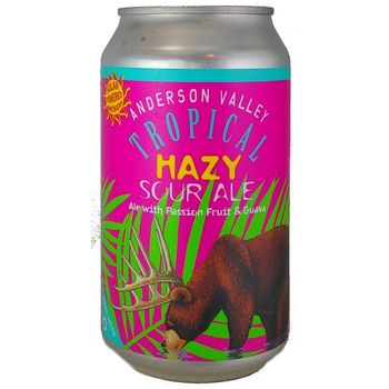 Anderson Valley Tropical Hazy Sour Ale 355ml