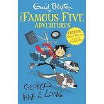 Hodder Children's Books Famous Five Colour Short Stories Georges Hair Is Too Long