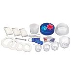 4M Crystal Growing Changing Crystal Light