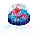 4M Crystal Growing Changing Crystal Light
