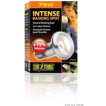 Exo Terra Intense Basking Spot S20 75w