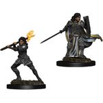 Nolzur's Marvelous Miniatures WizKids D&D Human Female Paladin Wzk73830