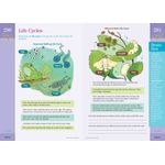 Brain Quest Workbooks Grade 5