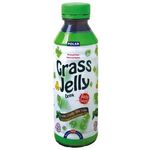 Polar Grass Jelly 500ml