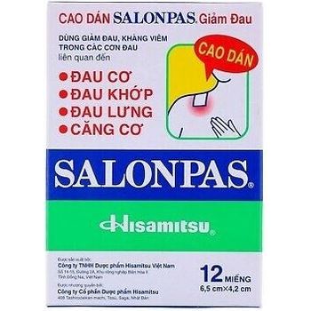 Salonpas Pain Relief Patch 12pcs