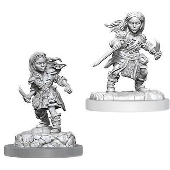 Wizkids Dungeons And Dragons Halfling Female Rogue Wave 20