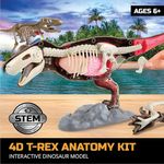 Discovery Mindblown 4D T Rex Anatomy Kit