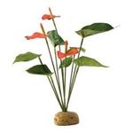 Exo Terra Anthurium Bush Plant 100g