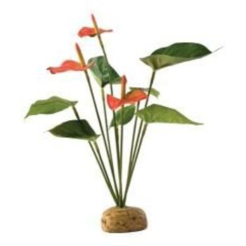 Exo Terra Anthurium Bush Plant 100g