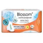 Blossom Day Mini Pad Wing 190 Mm 28 S 100g