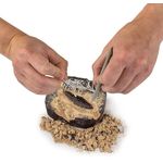 National Geographic Dinosaur Dig Kit