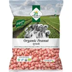 24 Mantra Organic Raw Peanut 500g