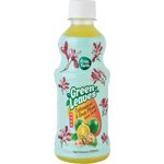 Green Leaves Calamansi N Sour Plum Juice