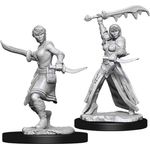 Nolzur's Marvelous Miniatures WizKids D&D Human Female Rogue Wzk73831