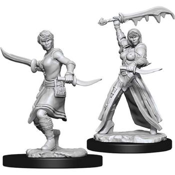 Nolzur's Marvelous Miniatures WizKids D&D Human Female Rogue Wzk73831