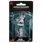 Dungeons & Dragons Human Rangers