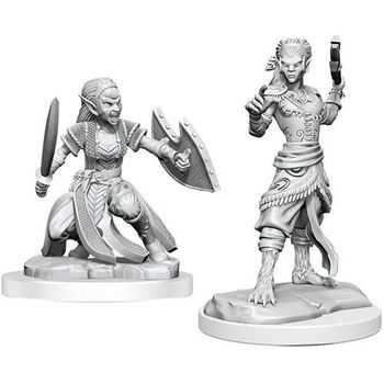 Wizkids Dungeons And Dragons Nolzurs Marvelous Miniatures Shifter Fighter