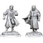 Wizkids Male Human Sorcerer Merchant & Tiger Demon