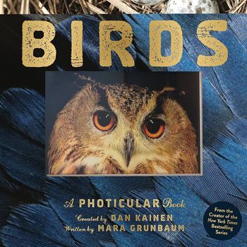 Workman Publishing A Photicular Book Birds