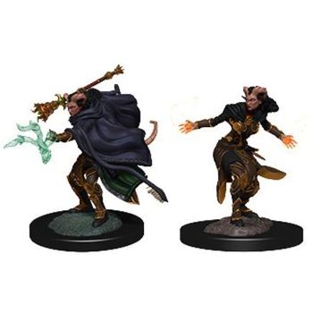 Wizkids Tiefling Warlock Female