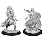 D&D Nolzur's Male Elf Sorcerer