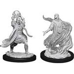 D&D Nolzur's Male Elf Sorcerer