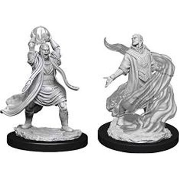 D&D Nolzur's Male Elf Sorcerer