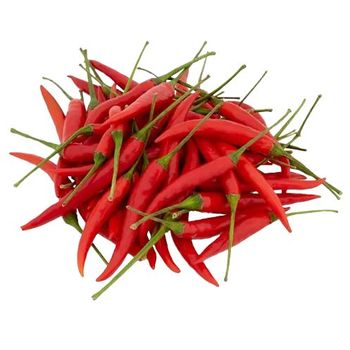 RED CHILLI PADI