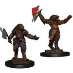 Wizkids Dragonborn Fighter Female (Wave 11)