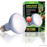 Exo Terra Daylight Basking Spot Lamp R20 75w