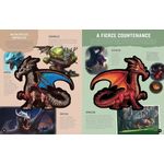 Chartwell Books Inside Out Dragon