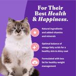 Halo Indoor Cat Wild Salmon & Whitefish Recipe 2.78kg