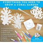 National Geographic Crystal Reef Coral Growing Lab