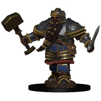 Wizkids Dwarf Fighter Male (Premium)