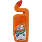 Mr Muscle Cleaner Pine 500ml