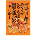 Nobel Gummies Melting Oranges 80g