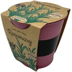 Boutique Garden Pastel Colours Pots Chalk Rosemary