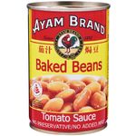 Ayam Brand Baked Beans Tomato Sauce
