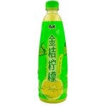 Kang Shi Fu Ice Tea Kumquat And Lemon 500ml