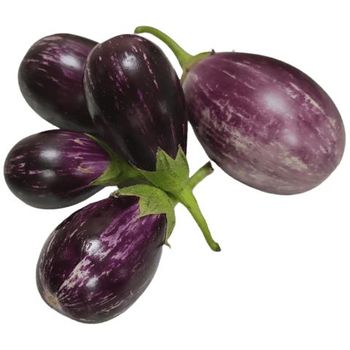 Brinjal India