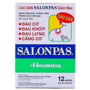 Salonpas Pain Relief Patch 12pcs