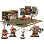 Privateer Press Hordes Skorne Battlegroup Starter Box