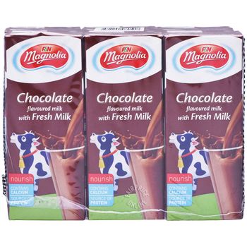 F&N Magnolia Uht Packet Milk Chocolate 250ml
