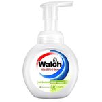 Walch Moist Foam Hand Wash 300ml