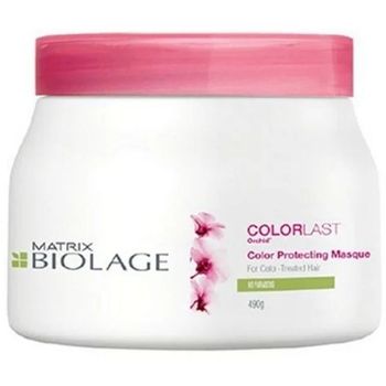 Matrix Biolage Color Last Color Protecting Masque 490g