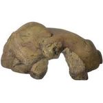 Exo Terra Reptile Cave X-Large