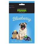 Prama Delicacy Snack Juicy Blueberry 70g