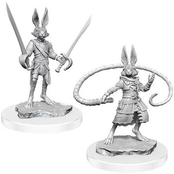Dungeons & Dragons Harengon Rogues Wave 17