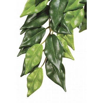 Exo Terra Forest Plant Ficus Medium 79g