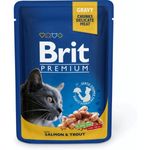 Brit Premium Salmon And Trout 100g